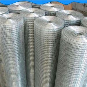 不銹鋼鍍鋅鋼絲網(wǎng)